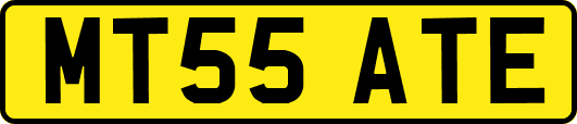 MT55ATE