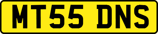 MT55DNS