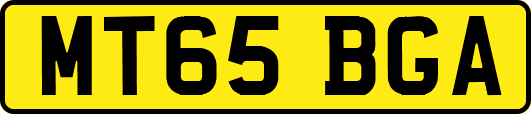 MT65BGA