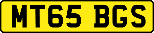 MT65BGS