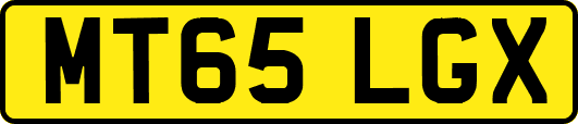 MT65LGX