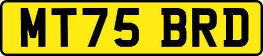 MT75BRD