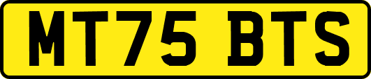 MT75BTS
