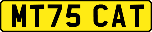 MT75CAT
