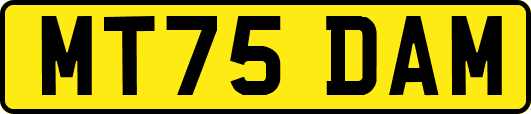MT75DAM