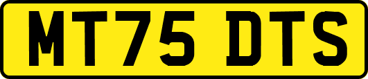 MT75DTS