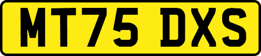 MT75DXS