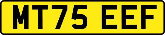 MT75EEF