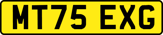 MT75EXG