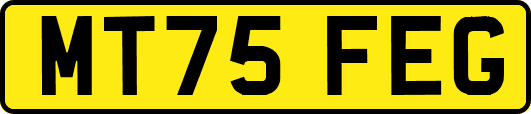 MT75FEG