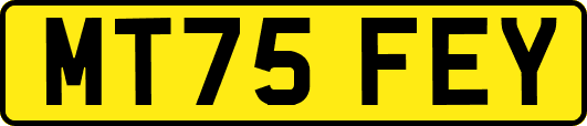 MT75FEY