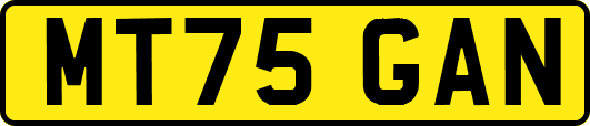 MT75GAN