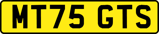 MT75GTS