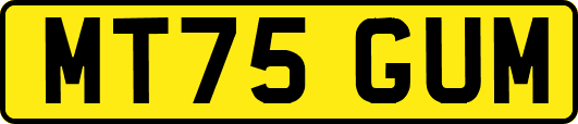 MT75GUM