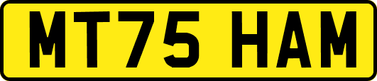 MT75HAM