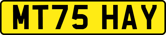 MT75HAY