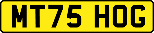 MT75HOG