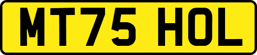 MT75HOL