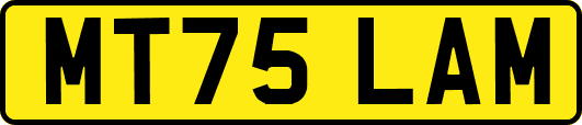MT75LAM