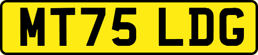 MT75LDG