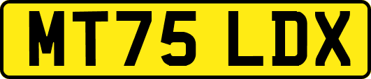 MT75LDX