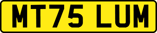 MT75LUM