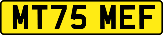 MT75MEF