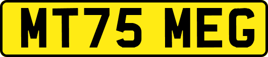 MT75MEG
