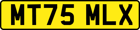 MT75MLX
