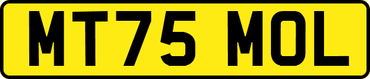MT75MOL
