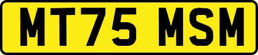 MT75MSM