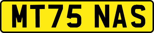 MT75NAS