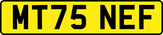 MT75NEF