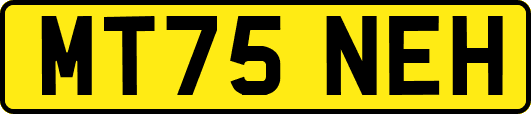 MT75NEH