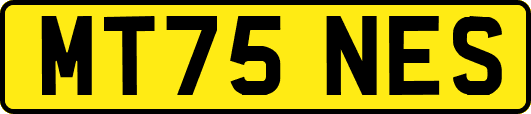MT75NES