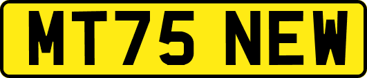 MT75NEW