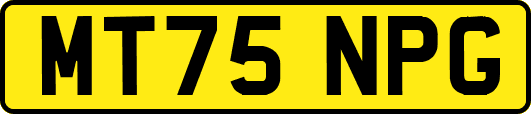 MT75NPG