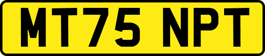 MT75NPT