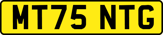 MT75NTG