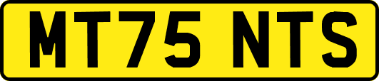 MT75NTS
