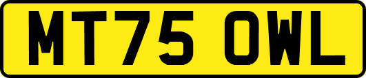 MT75OWL