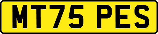 MT75PES