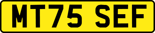 MT75SEF