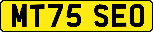 MT75SEO