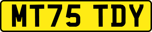 MT75TDY