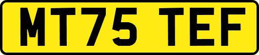 MT75TEF