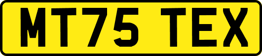 MT75TEX