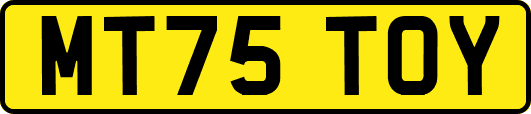 MT75TOY