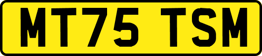 MT75TSM