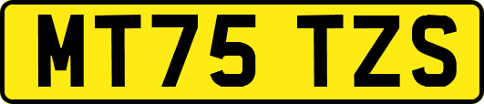MT75TZS